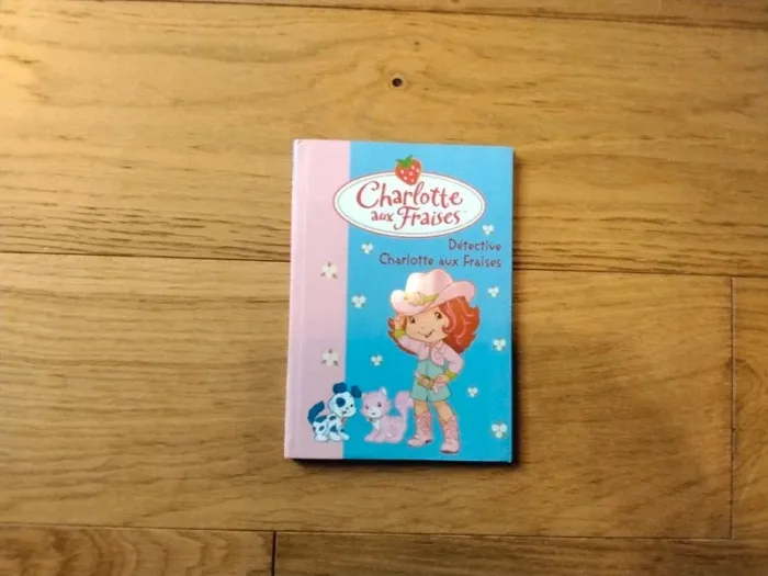 6 Livres Charlotte aux Fraises. - photo numéro 13