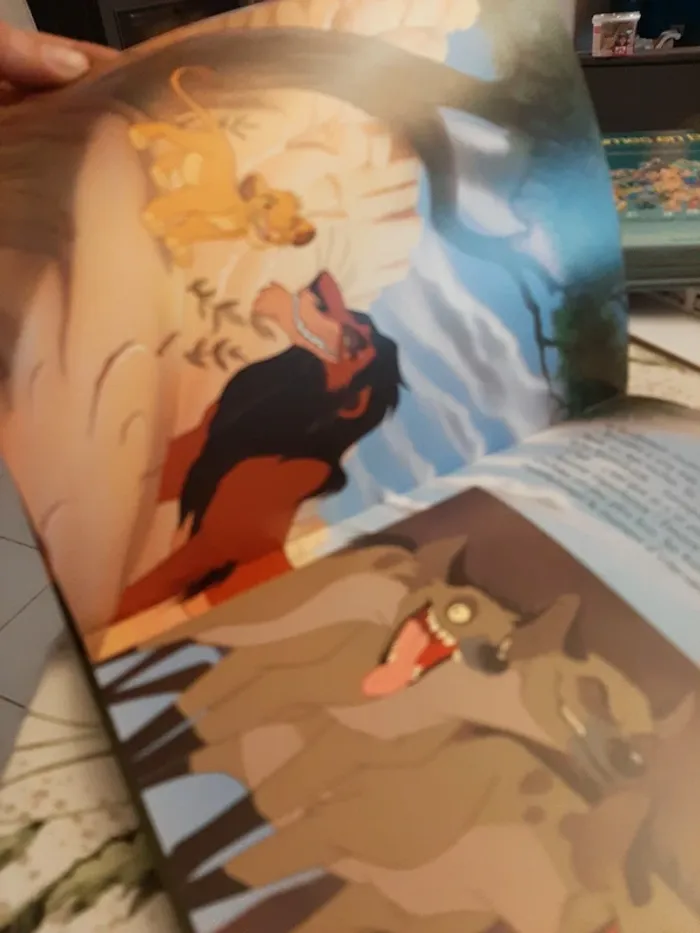 Gros livre disney le roi lion - photo numéro 13