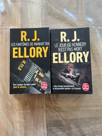 Lot 2 livres R J Ellory