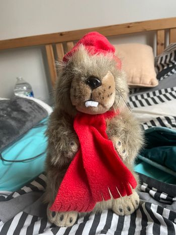 Marmotte doudou