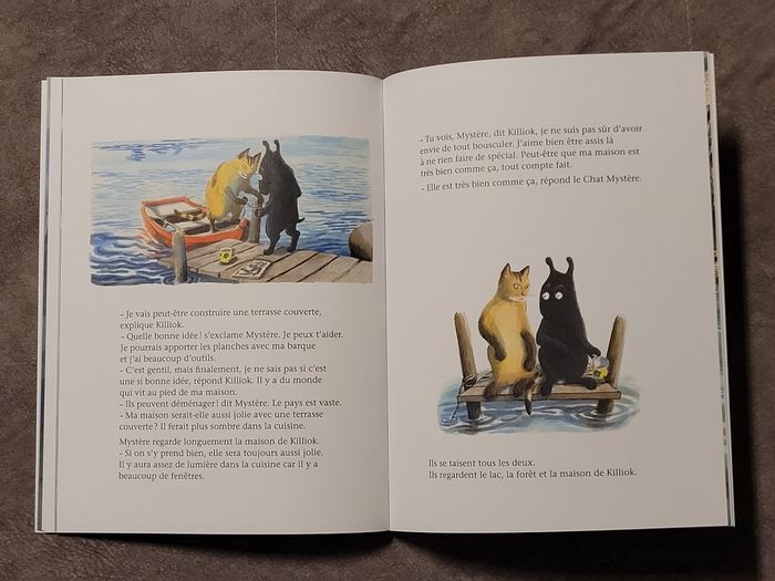 Killiok Anne Brouillard - photo numéro 4