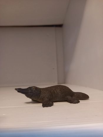 Schleich ornithorynque