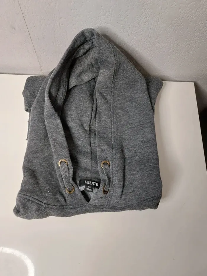 Sweat avec capuche gris " liberto" - photo numéro 3