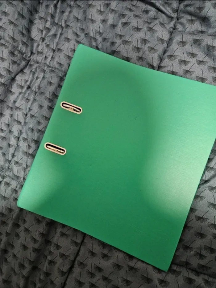 Grand classeur vert 2 anneaux exacompta