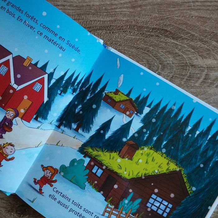 📚 Livre Mes p'tits docs Les maisons du monde #emyfleury_livres - photo numéro 3