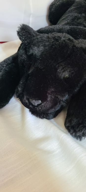 peluche panthère noir casino