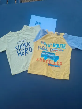 2 tee-shirt manches courtes