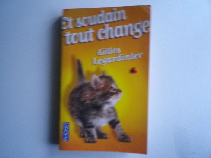 ET SOUDAIN TOUT CHANGE