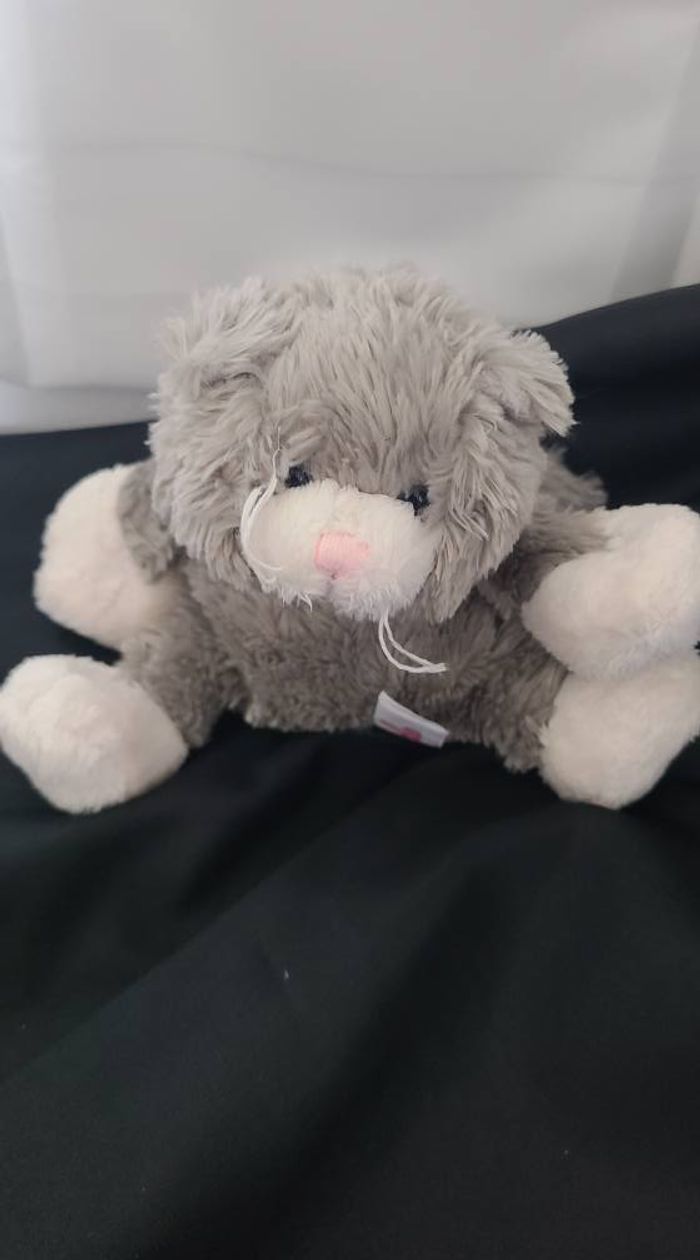 doudou toodo chat gris pattes blanches