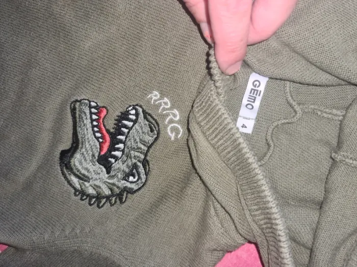 Pull Dino gemo 4 ans - photo numéro 2