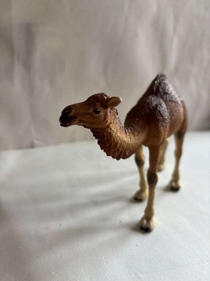 Chameau Schleich - photo numéro 4