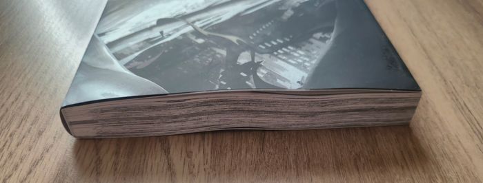 Manga Instinct tome 2 édition noire - photo numéro 3