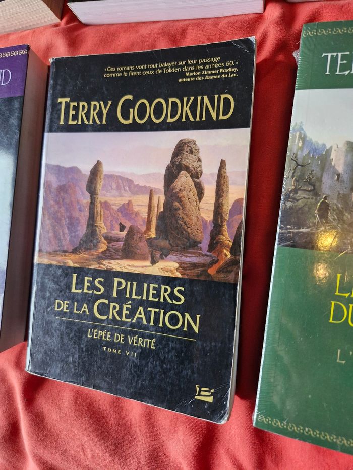 Saga L'épée de vérité ou Legend of the seeker - photo numéro 9