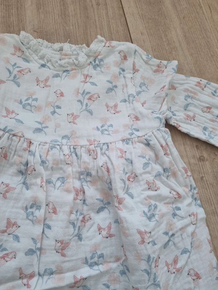 Sergent major 6mois - photo numéro 2