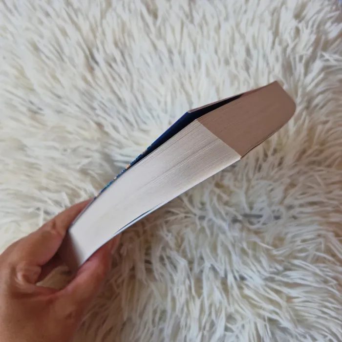 📚 "Le Jeu des Tricheurs", Anita Rigins - photo numéro 3
