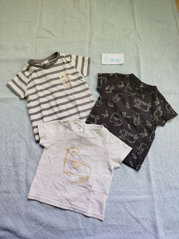 Lot t-shirts dino