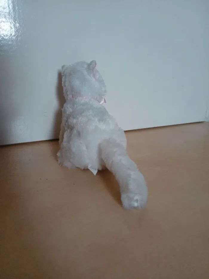 Jolie petit chat en peluche - photo numéro 6