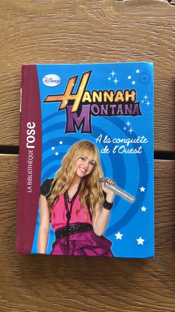 Lot 2 livres hannah montana