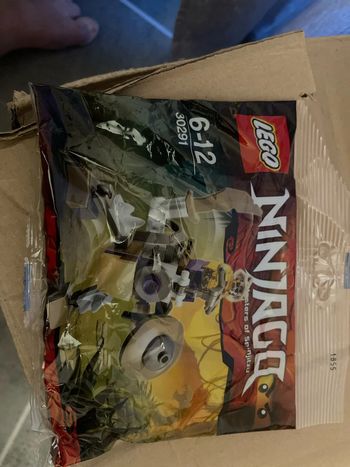 Sachet lego ninjago 30291