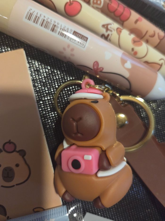 Pochette Capybara - photo numéro 4