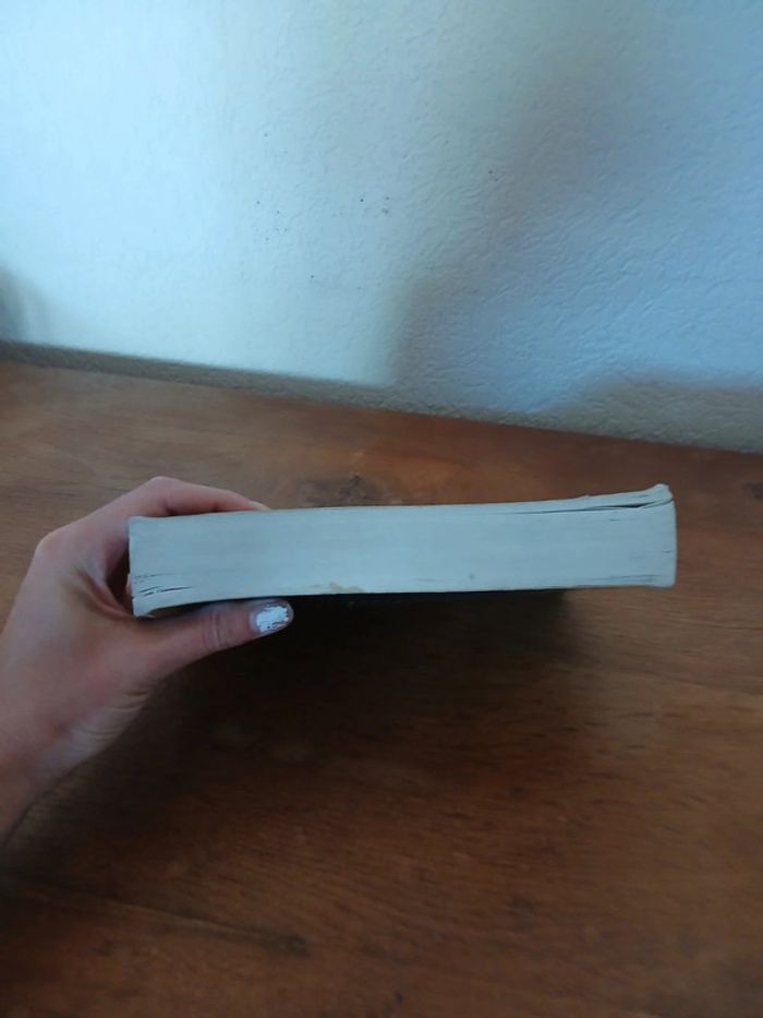 🍍 Livre Le journal d'un vampire - photo numéro 4