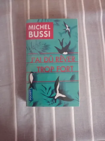 J'ai dû rêver trop fort