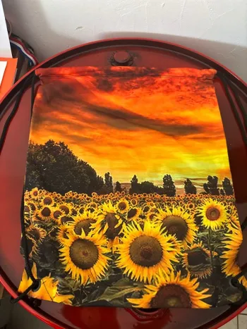 Sac à dos, 511