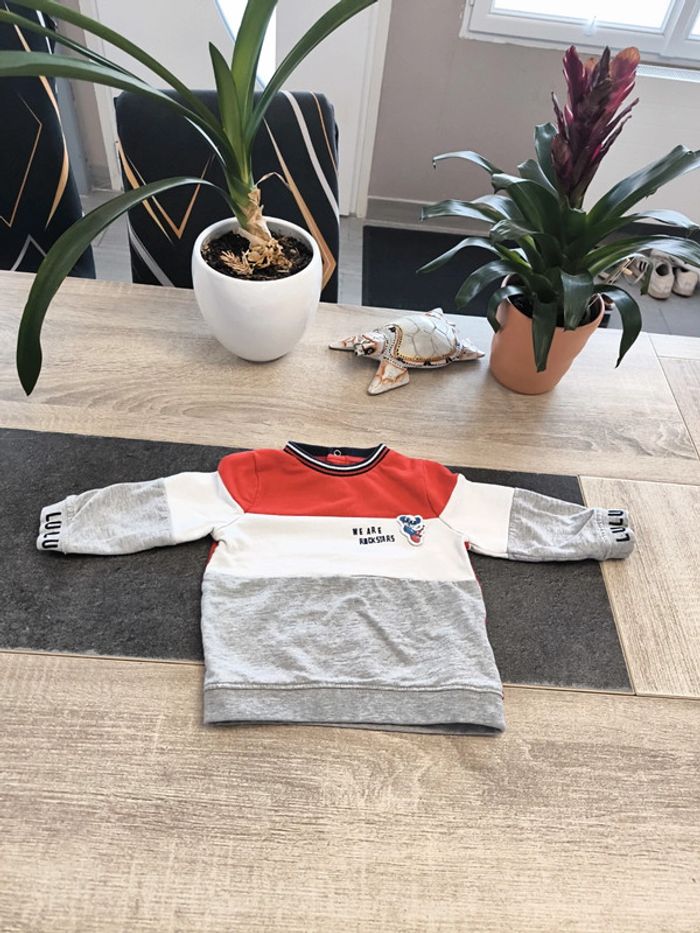 Sweat garçon 18 mois Lulu castagnette