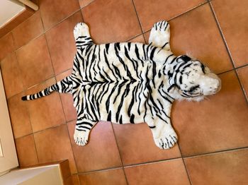 Peluche Tapis Tigre Blanc
