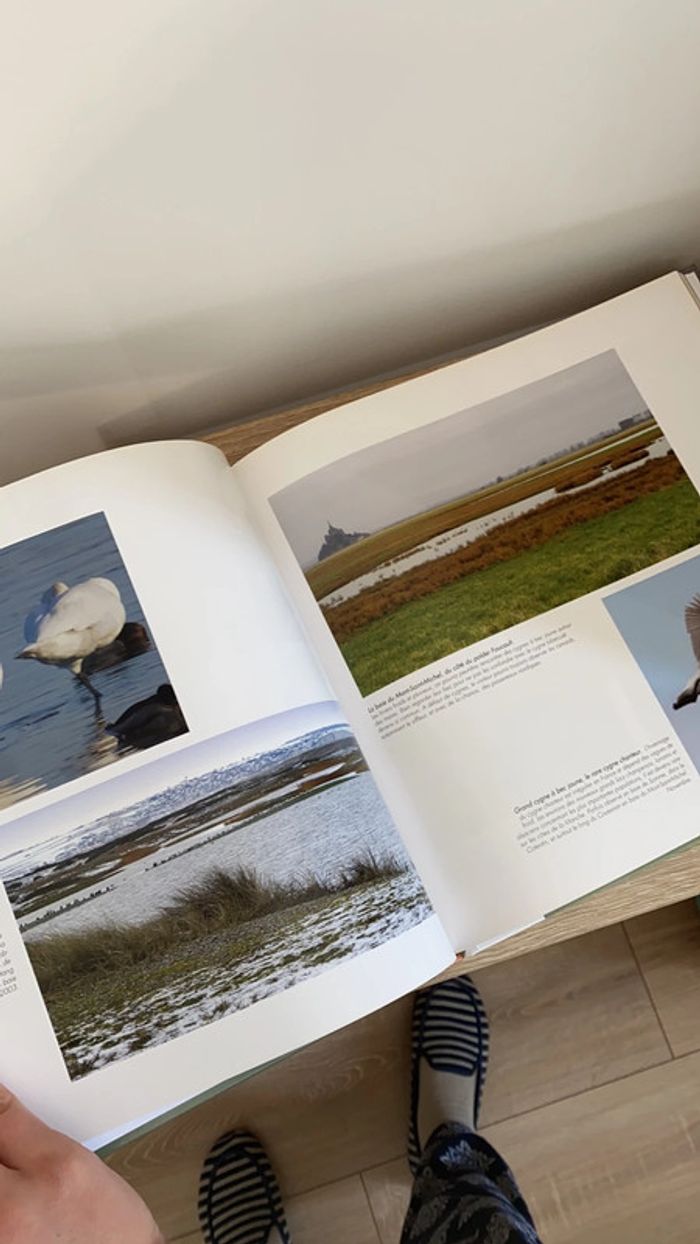 Livre plumes nordiques - photo numéro 2