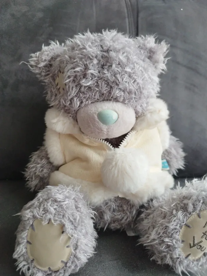 Peluche me to you - photo numéro 3
