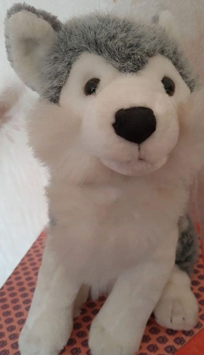 Peluche chien husky - photo numéro 2