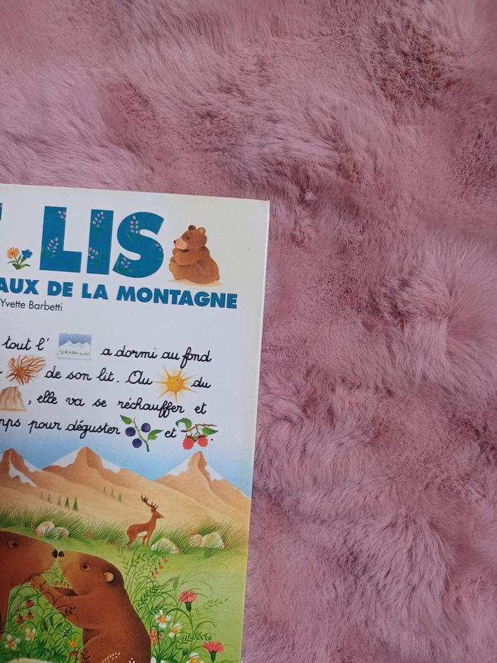 Livre d'apprentissage je lis avec les animaux de la montagne - photo numéro 7