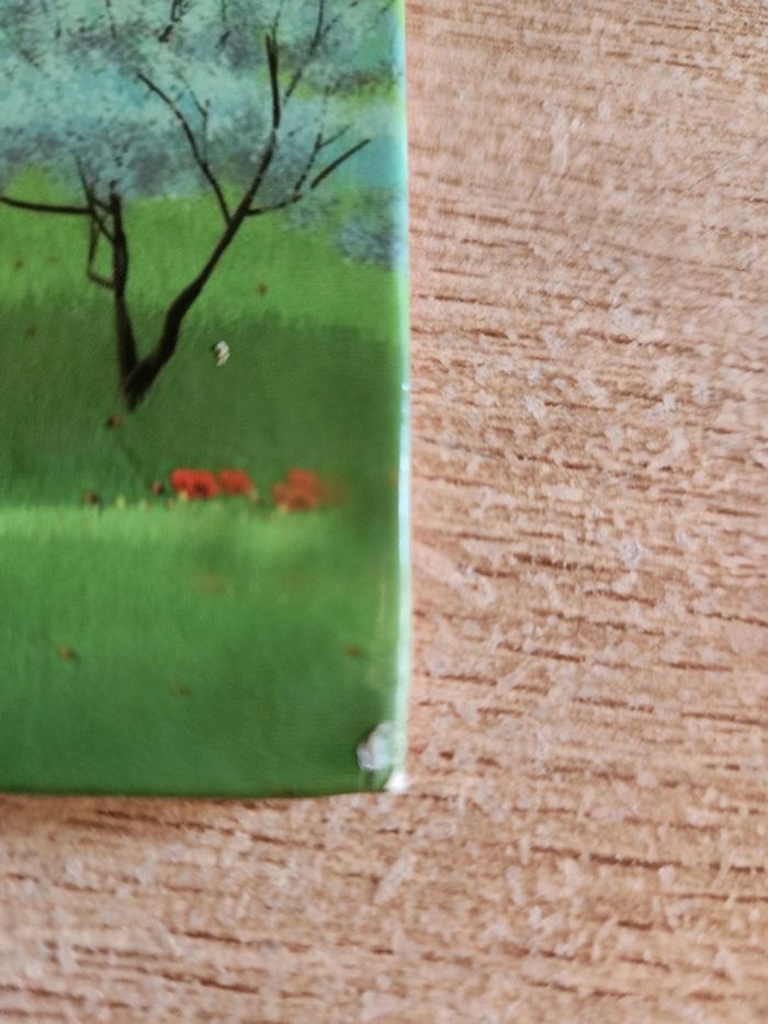 Livre " Martine une princesse de rêve " - photo numéro 3