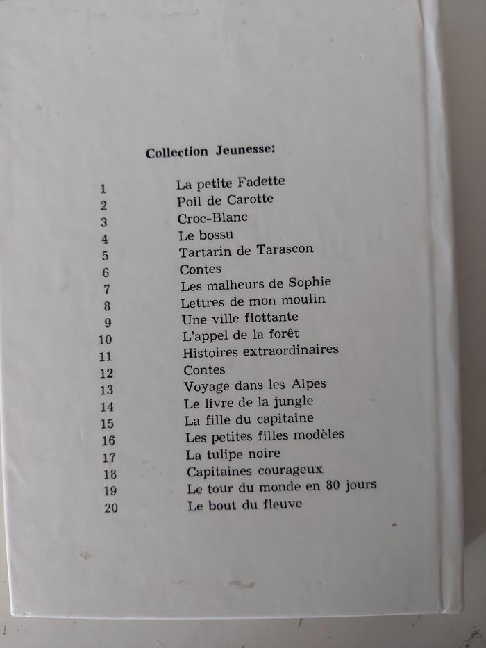 Livre le tour du monde en 80jours - photo numéro 2