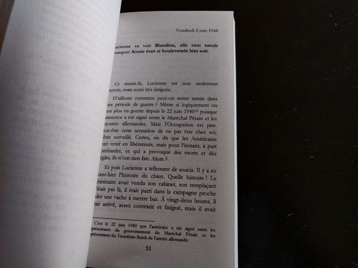 Livre Aimée au coeur de la Libération de Lyon - photo numéro 8