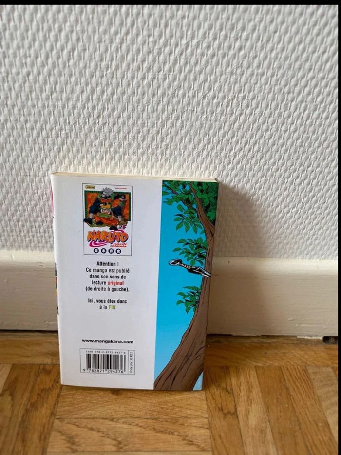 Manga - photo numéro 2