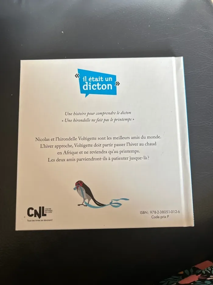 Une Hirondelle ne fait pas le printemps - photo numéro 2
