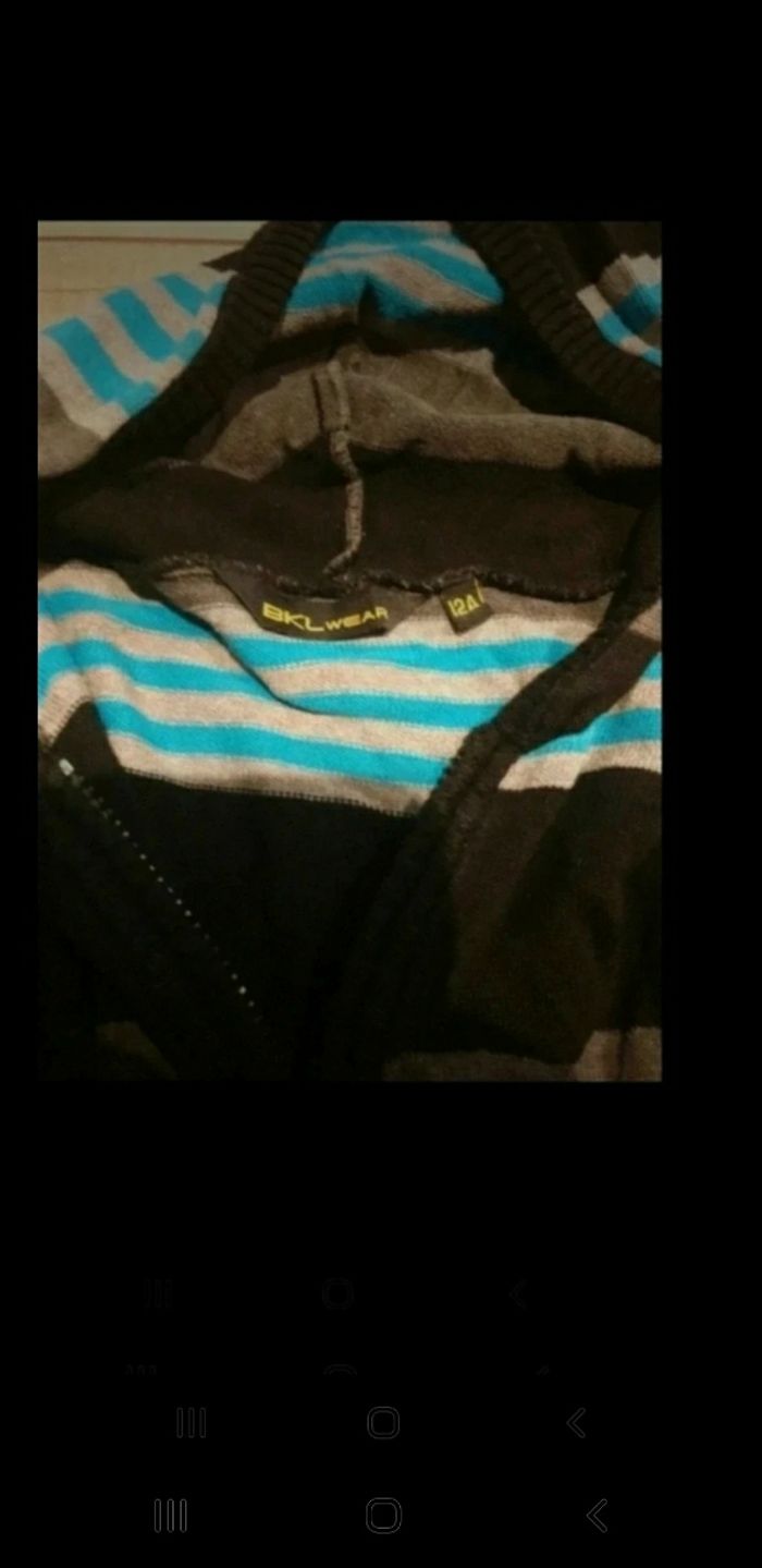 Veste capuche rayures garçon 12 ans - photo numéro 3