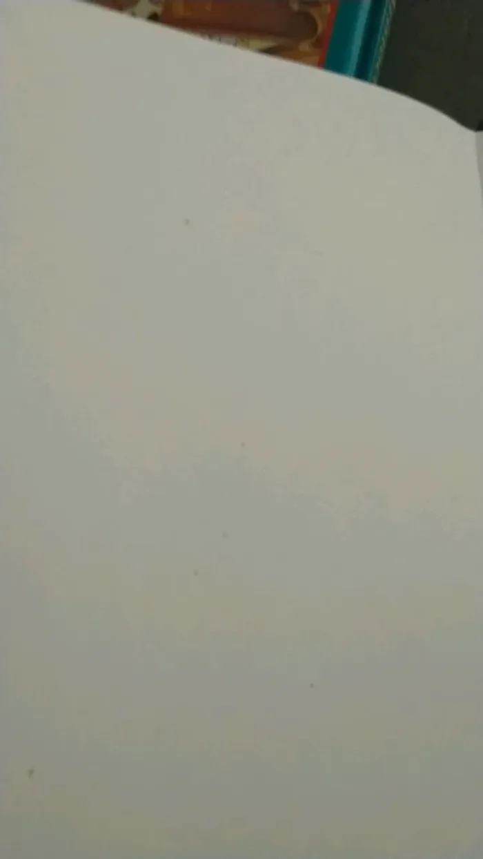 Lot de livres Disney - photo numéro 10