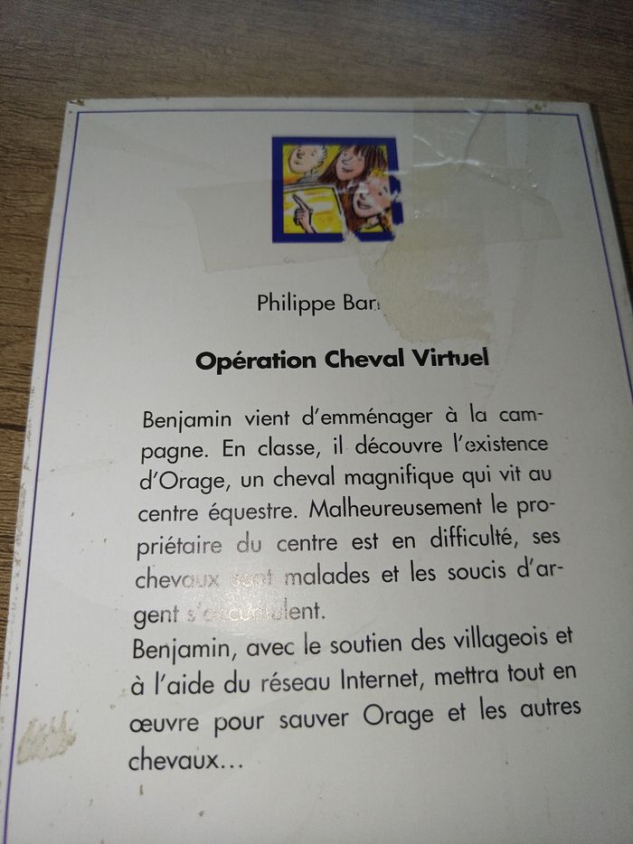 Opération cheval virtuel par Philippe Barbeau - photo numéro 2