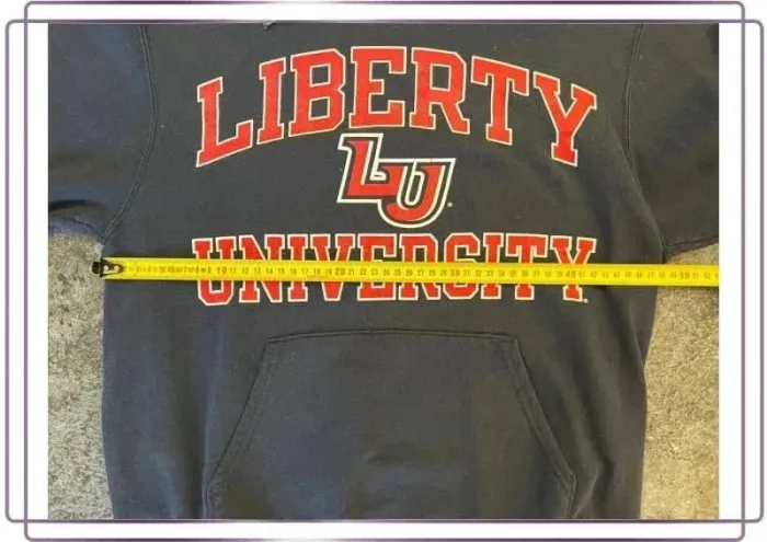 Sweat capuche homme Champion S Liberty University - Hoodie men - Felpa uomo - Kapuzenpullover herren - photo numéro 6