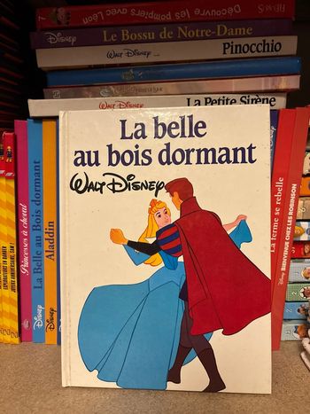 Livre Disney, la Belle au bois dormant
