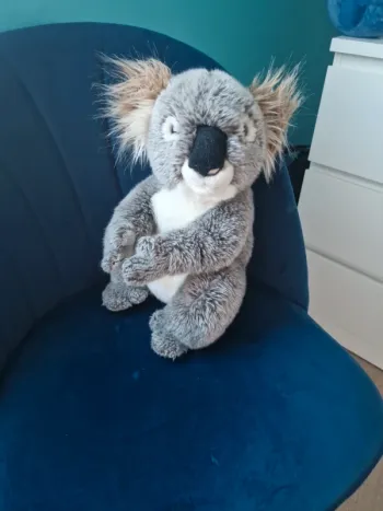 Peluche koala Simba Toys