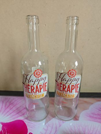 Lots de 2 bouteilles décoratives pour vin rouge