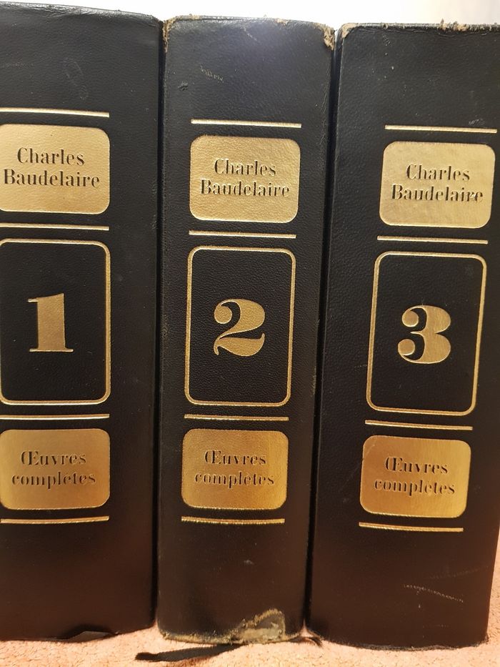 Charles  Baudelaire - photo numéro 5