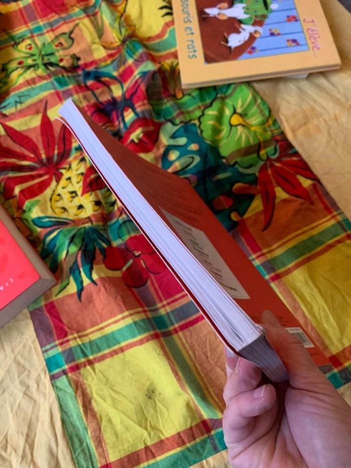 La grossesse - photo numéro 4