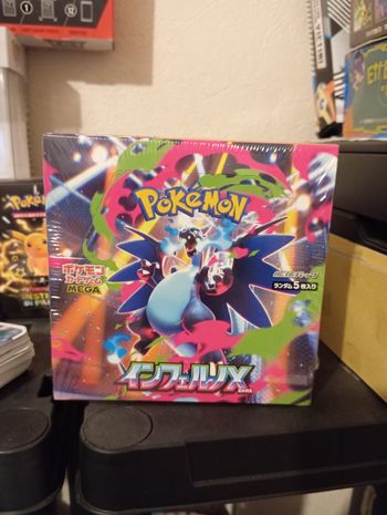 Display japonaise Dracaufeu M2