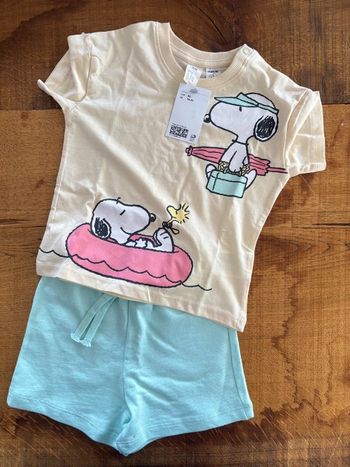 Ensemble snoopy