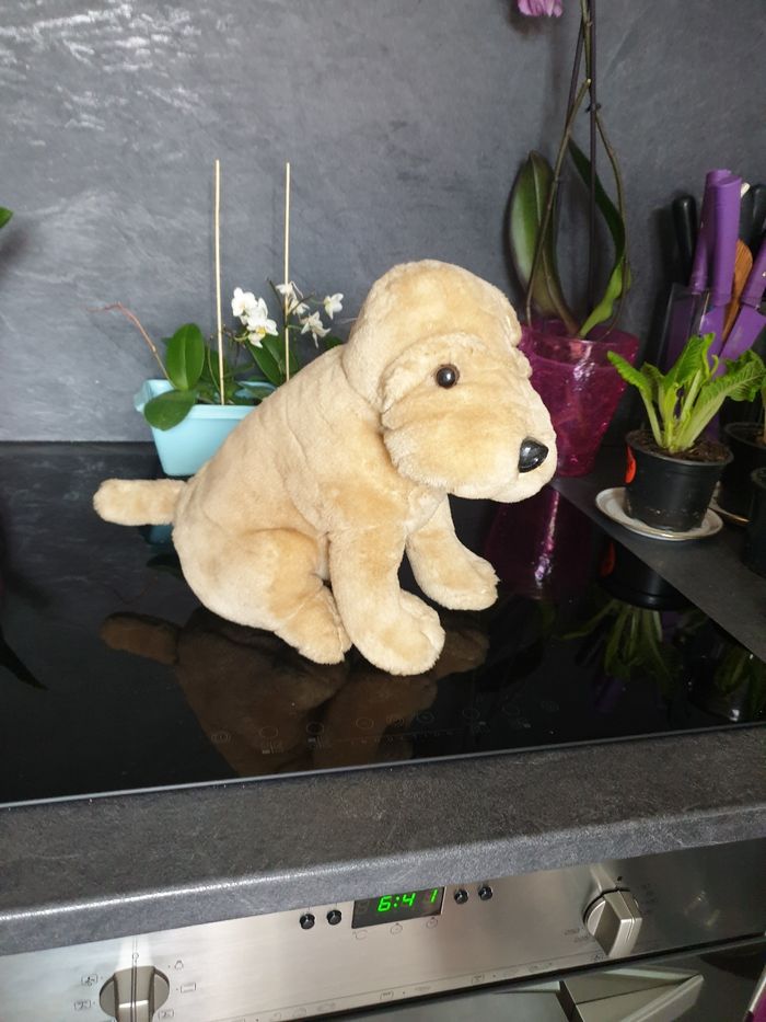 Peluche bouledogue - photo numéro 2